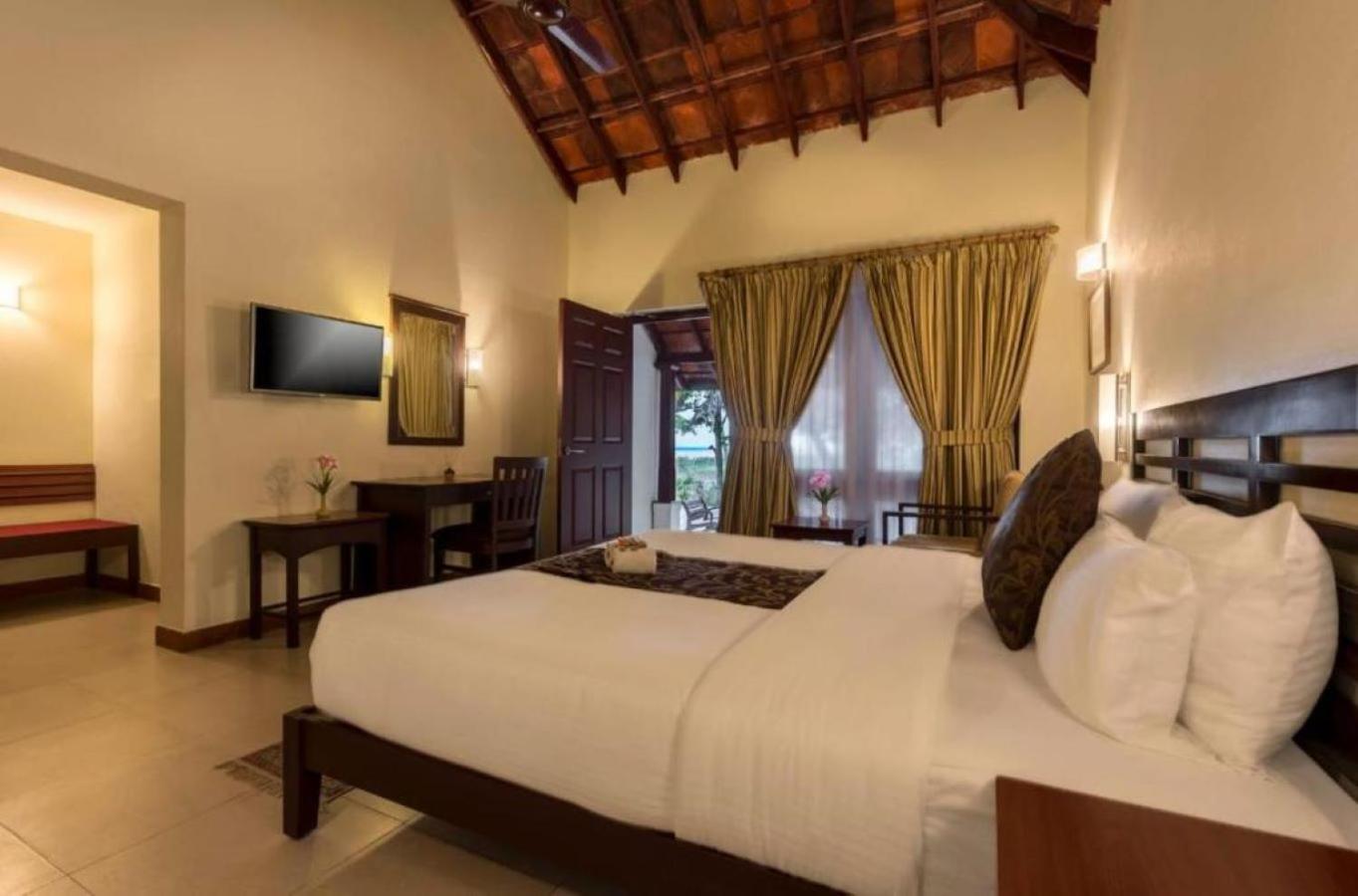 Resort Abad Turtle