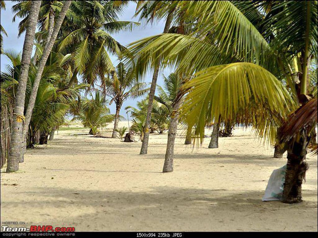 Resort Abad Turtle 4*
