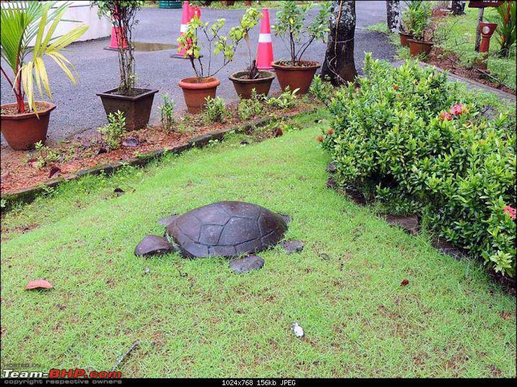 Abad Turtle Resort