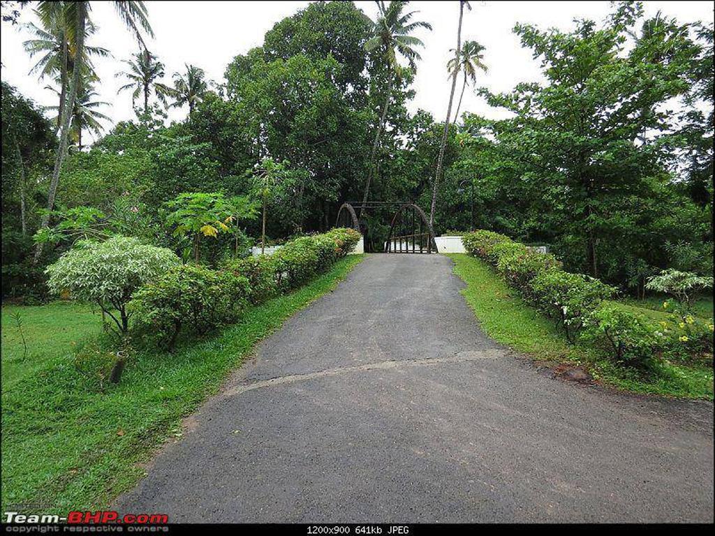 Resort Abad Turtle