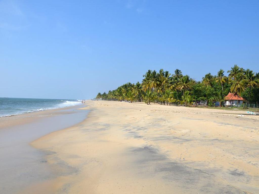 Resort Abad Turtle