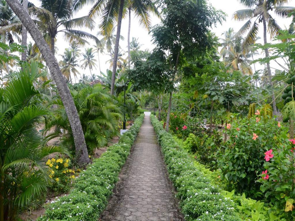 Resort Abad Turtle Mararikulam