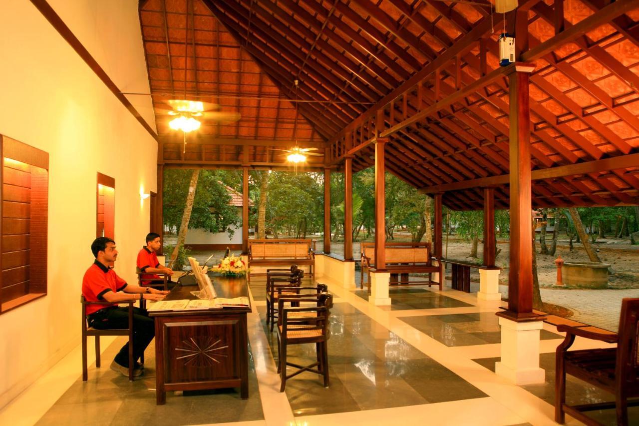 Resort Abad Turtle