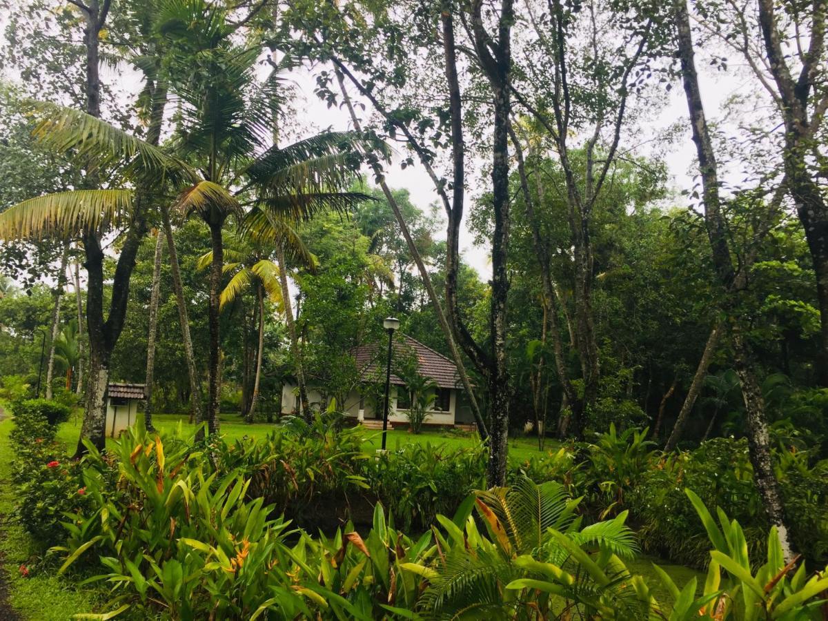 Resort Abad Turtle