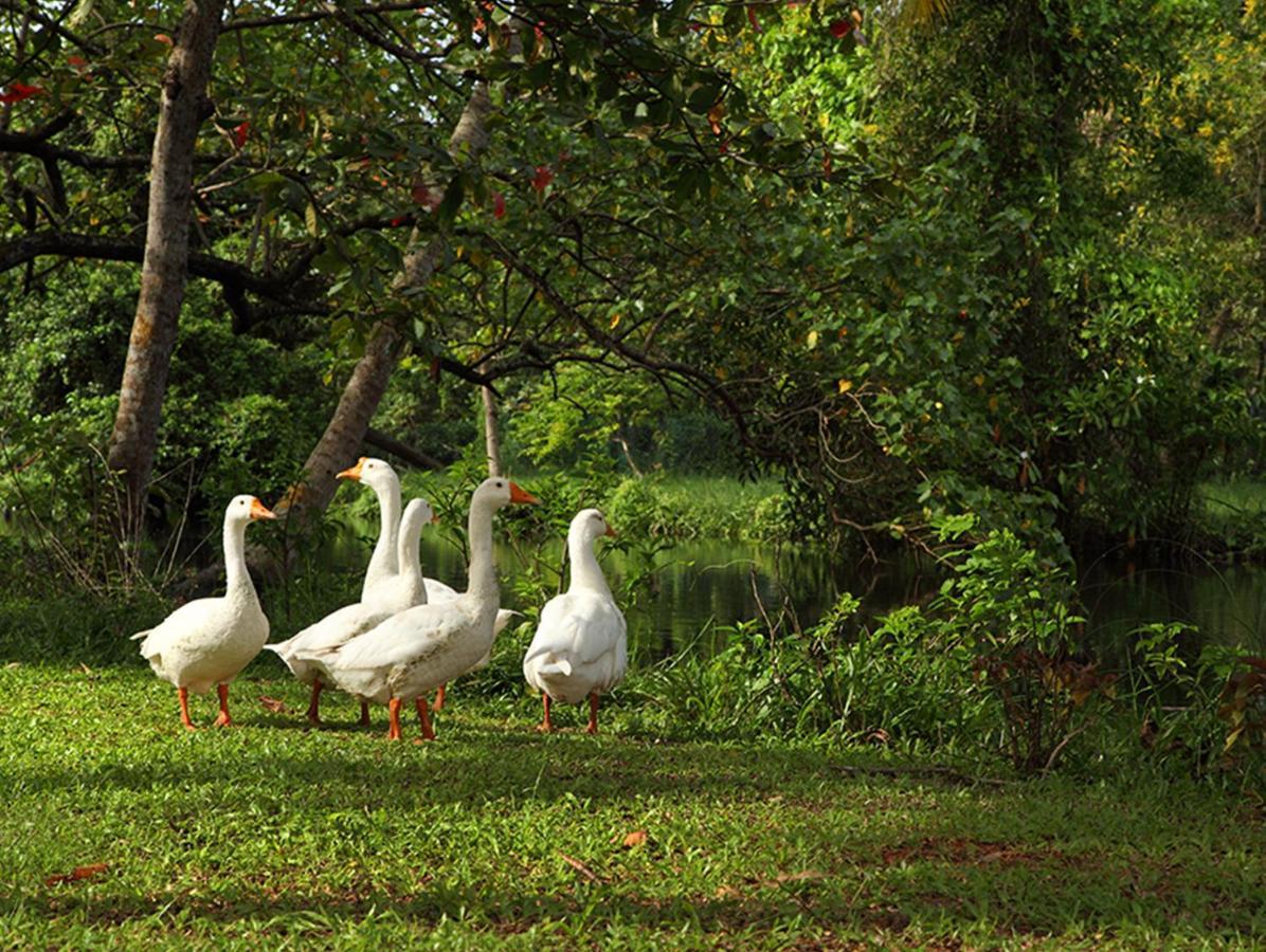 Abad Turtle Resort