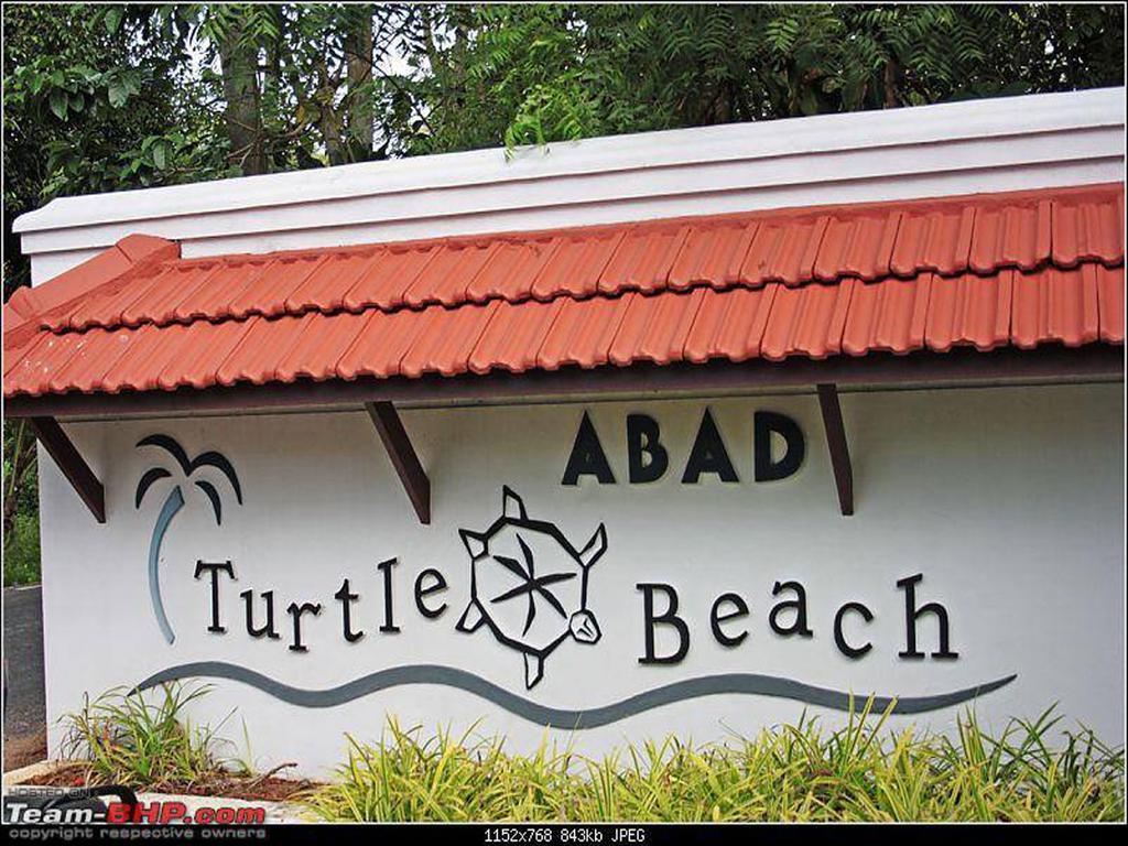 Abad Turtle