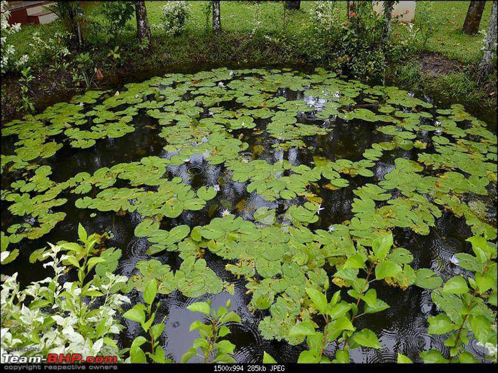 Abad Turtle 4* Mararikulam