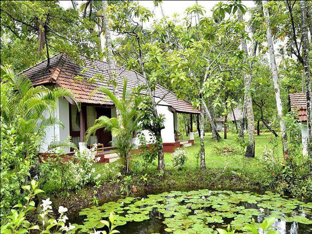 Abad Turtle Mararikulam