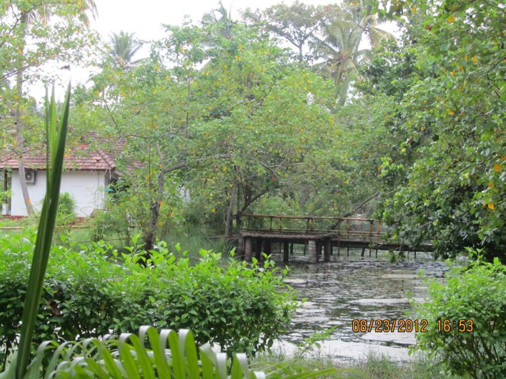 Abad Turtle Mararikulam