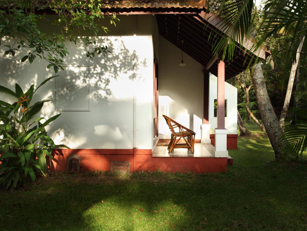 Abad Turtle 4*